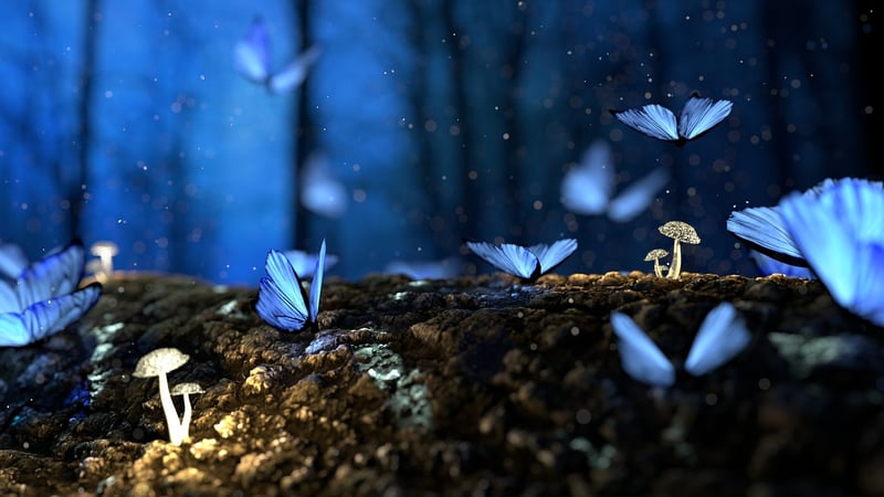 Magical Forest Retreats