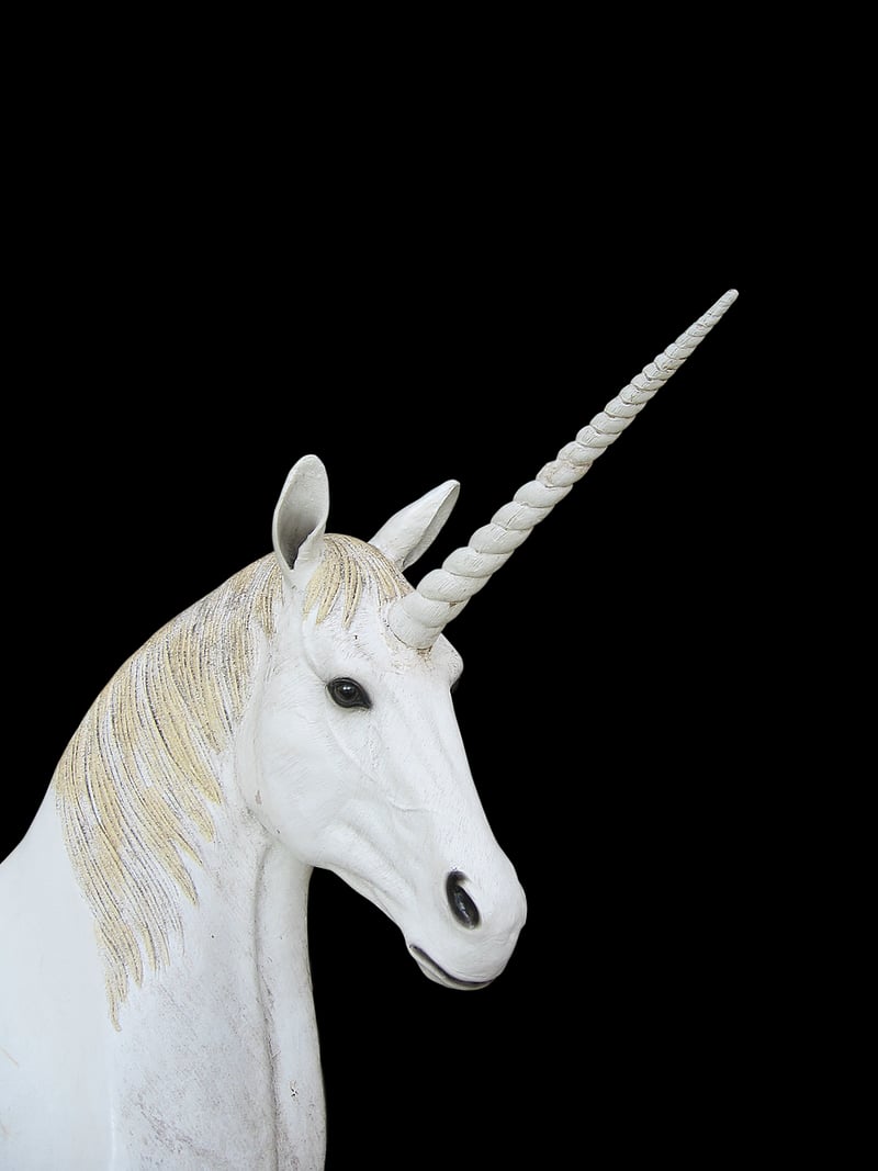 Unicorn Treat Delights