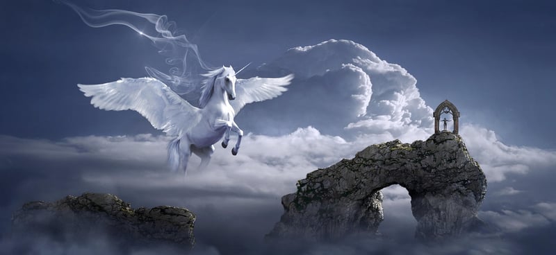 Fairy tale dream night